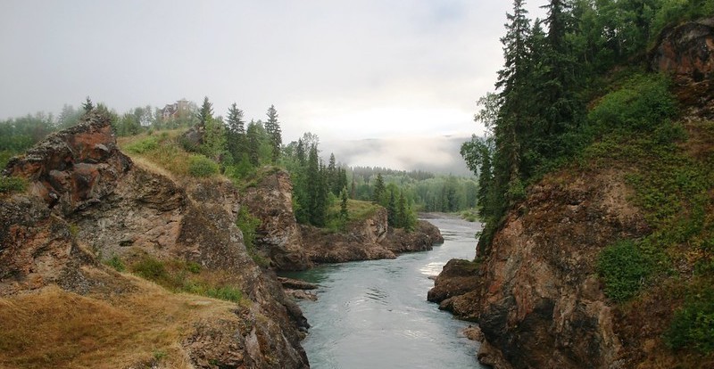 Salmon Stream Near Smithers, BC